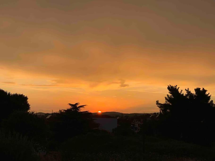 ניקיטי Orange Apartment מראה חיצוני תמונה